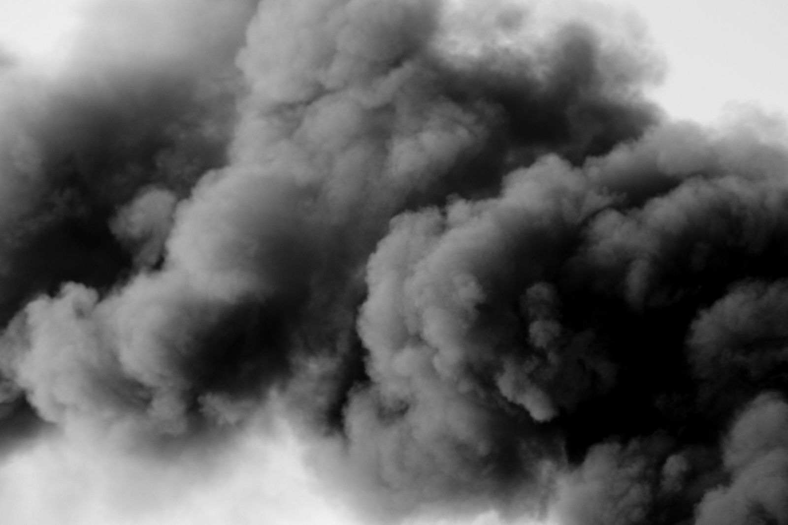 Mario Macilau, Untitled