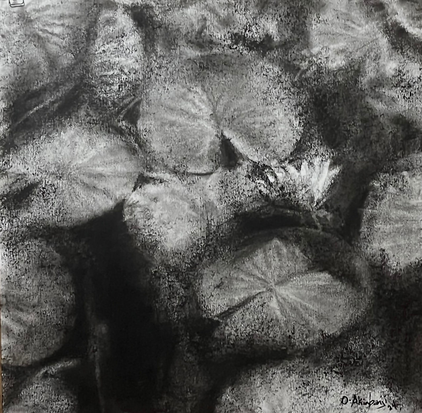 Akinbanji Osanyemi, Water Lillies, 2024