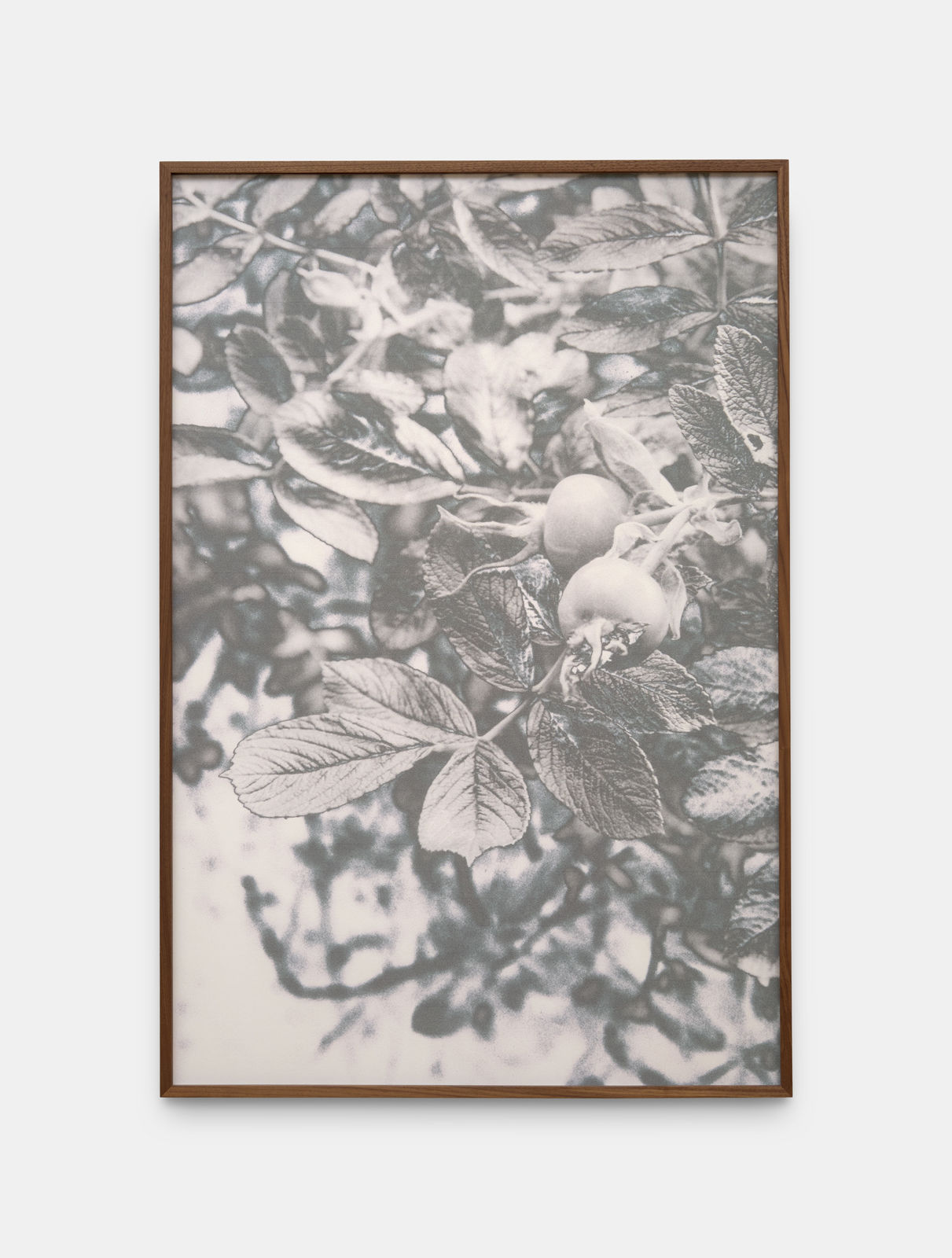 Feiyi Wen, The Untitled, 2025