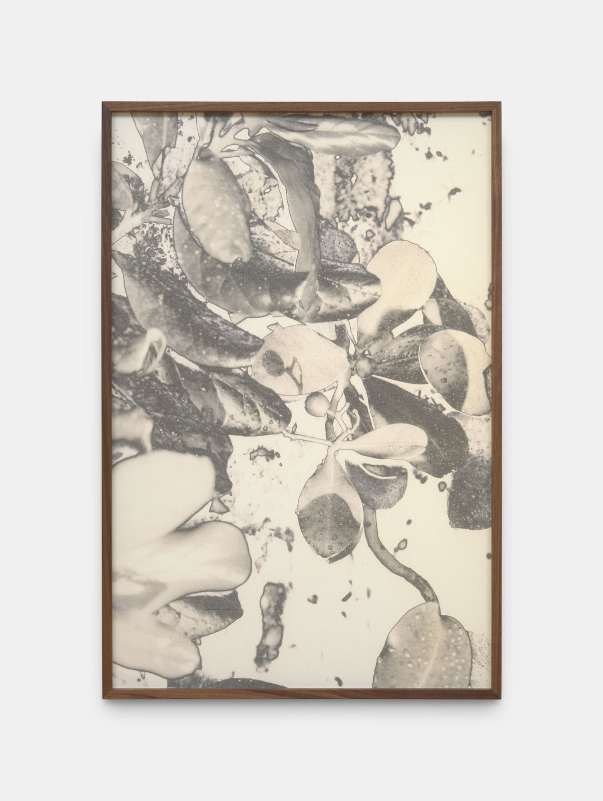 Feiyi Wen, The Untitled, 2025