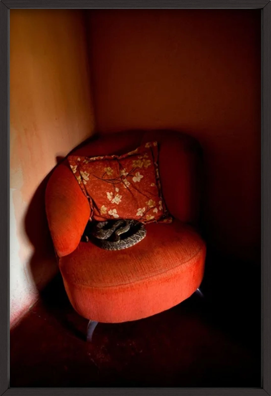 João Castilho, Cascavel - Série Zoo, 2014