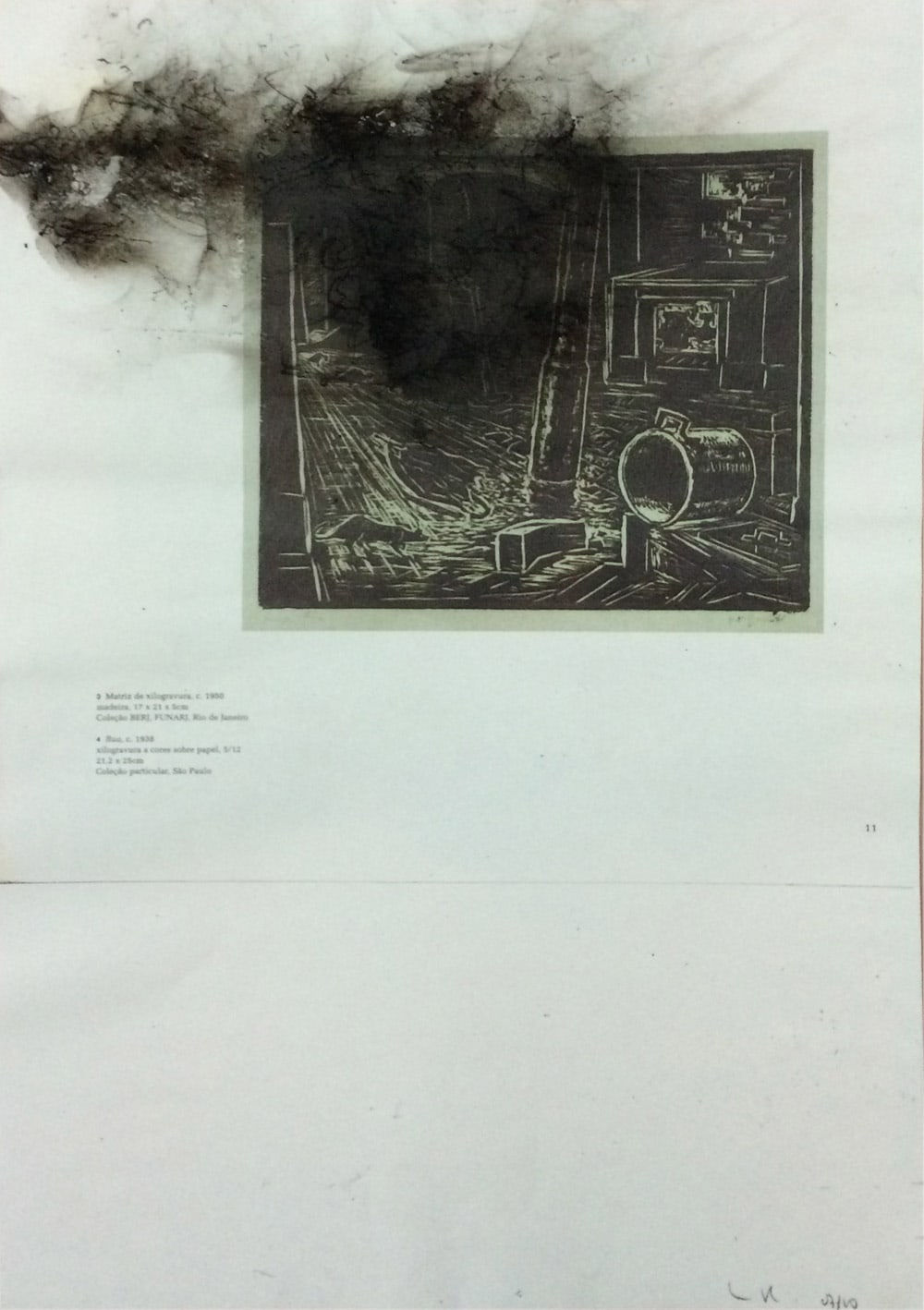 Nuno Ramos, Fumaça para Goeldi, , 1996-2010