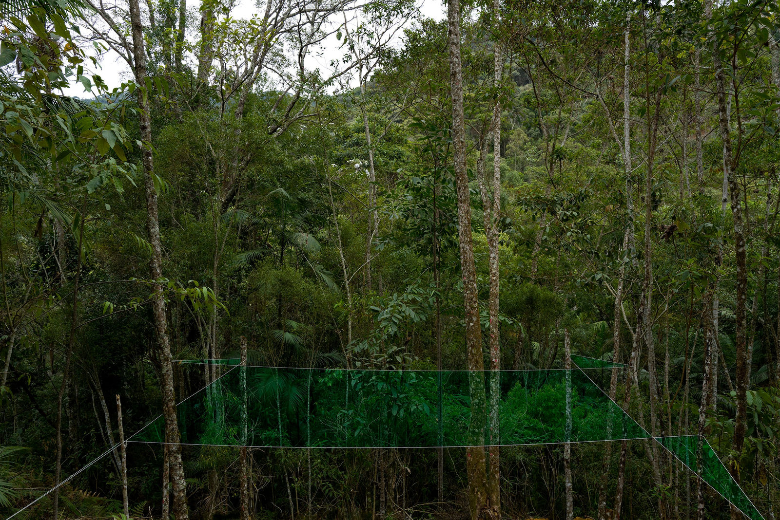 Pedro Motta, Unidade Territorial, 2023