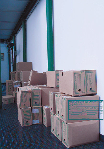 Mabe Bethônico, Sem título - Série: Campanha Vanda Svevo, 27o Bienal de São Paulo