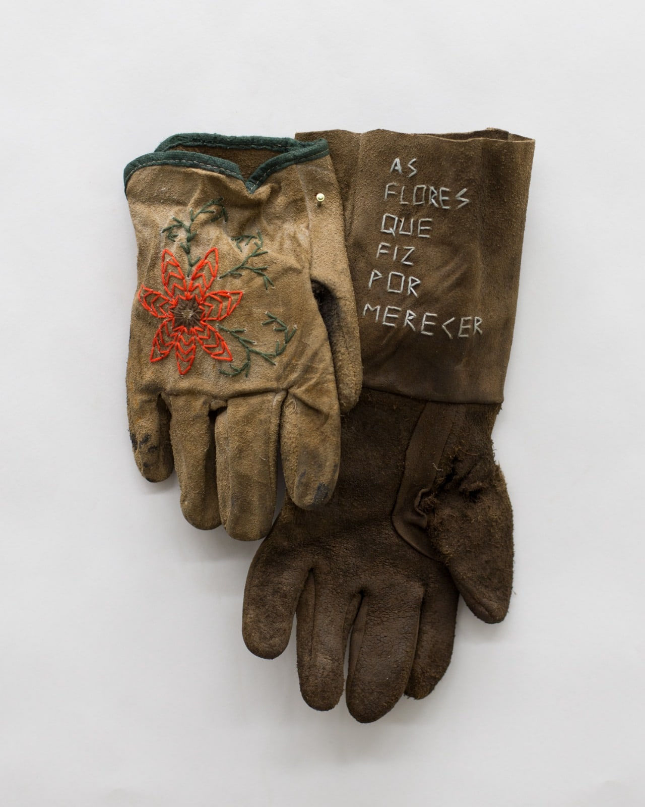 Iago Gouvêa, As flores que fiz por merecer, 2020