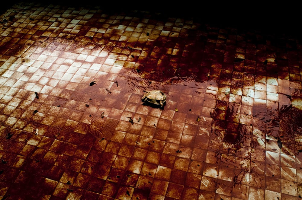 João Castilho, Série Vade Retro, 2012/2013