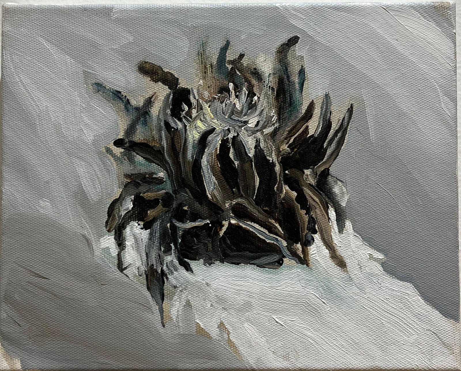 Raquel Schembri, 2014