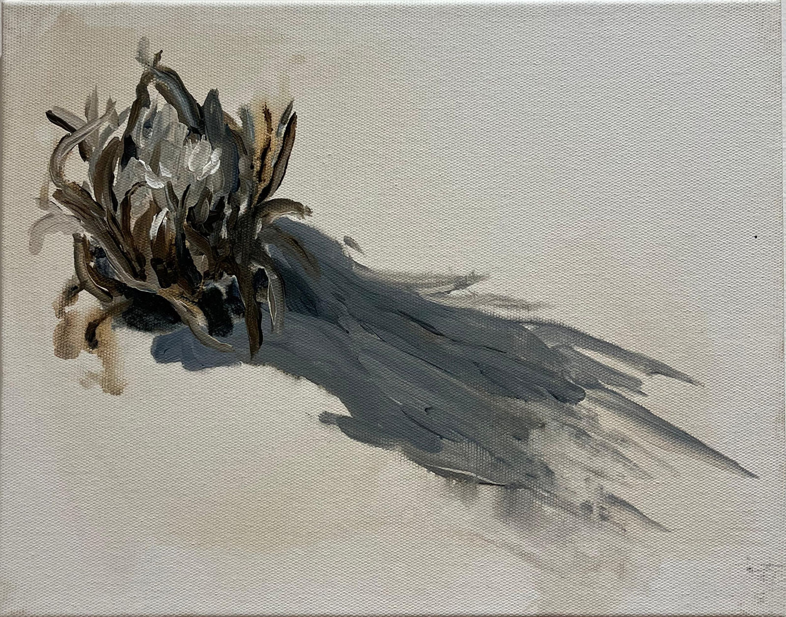 Raquel Schembri, 2014