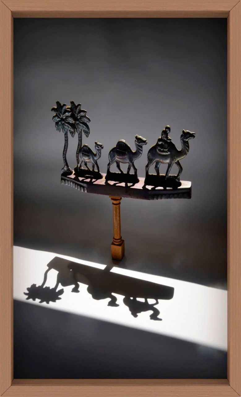 Rochelle Costi, Camelos - Série: Equilíbrio, 2020-2021