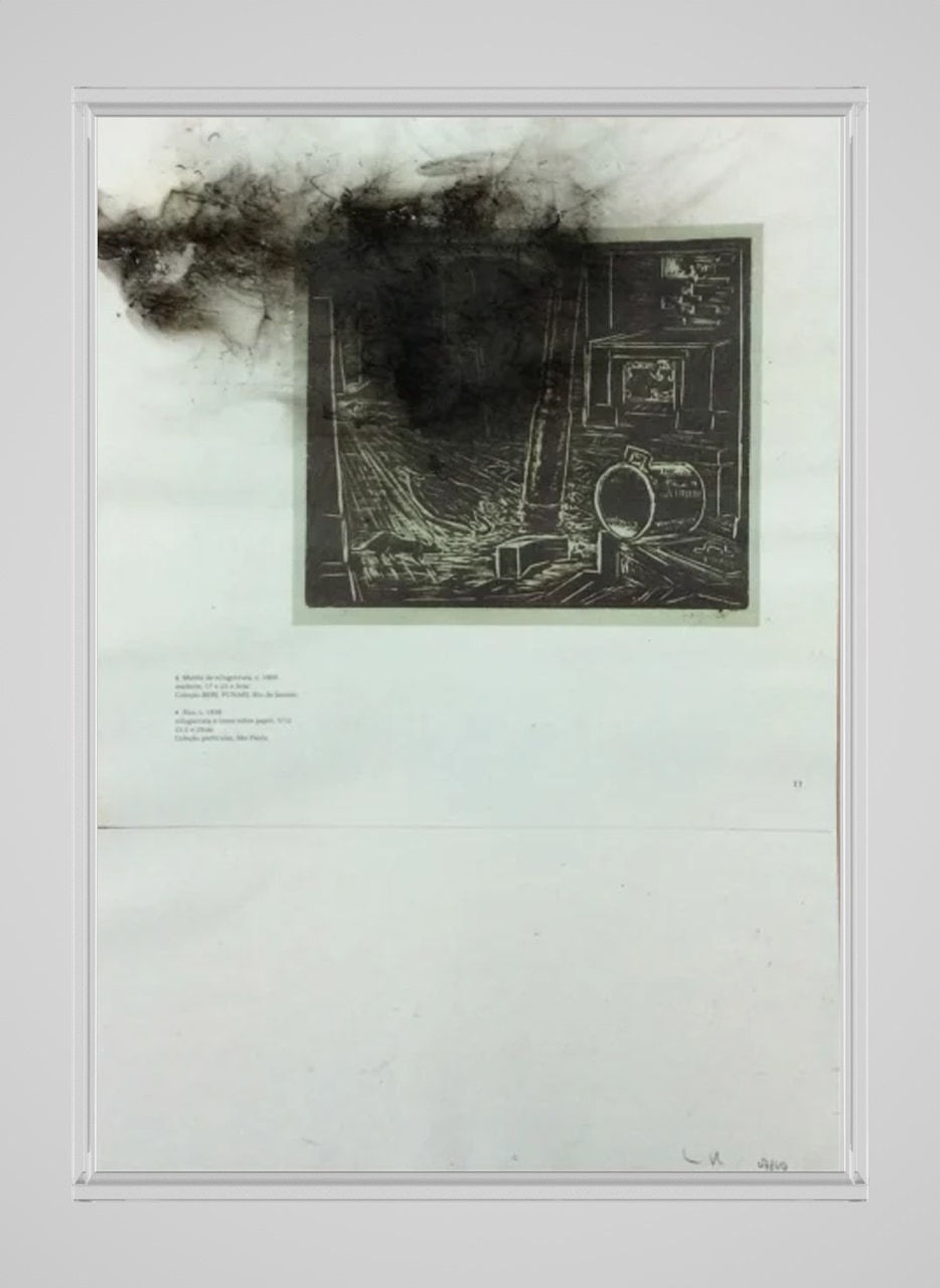 Nuno Ramos, Fumaça para Goeldi, , 1996-2010