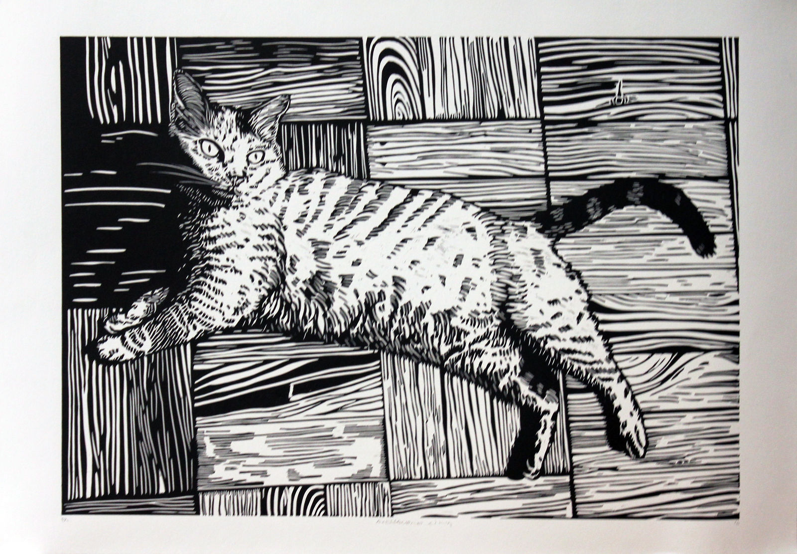 Alessandro Lima, Amelie, 2016