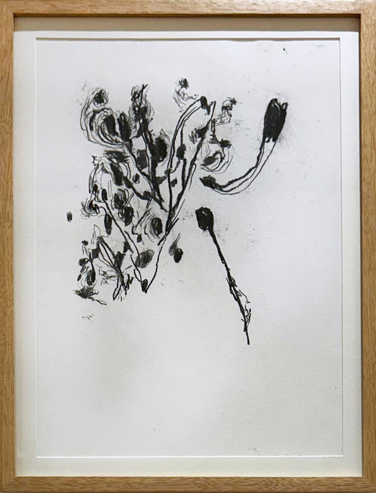 Raquel Schembri, 2015