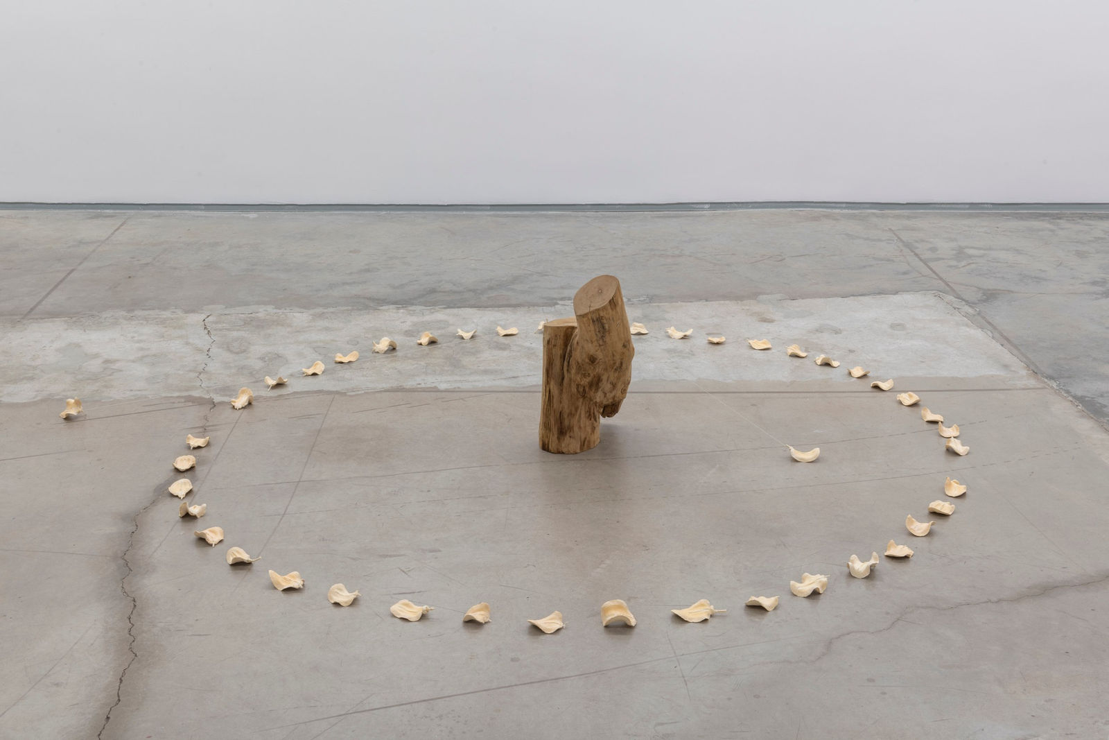 Laura Belém, Bailarina, 2024