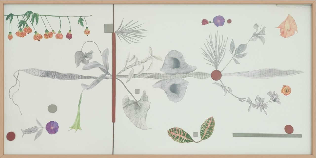 Adriana Vignoli, Série: Orto para uma bio escultura, 2023