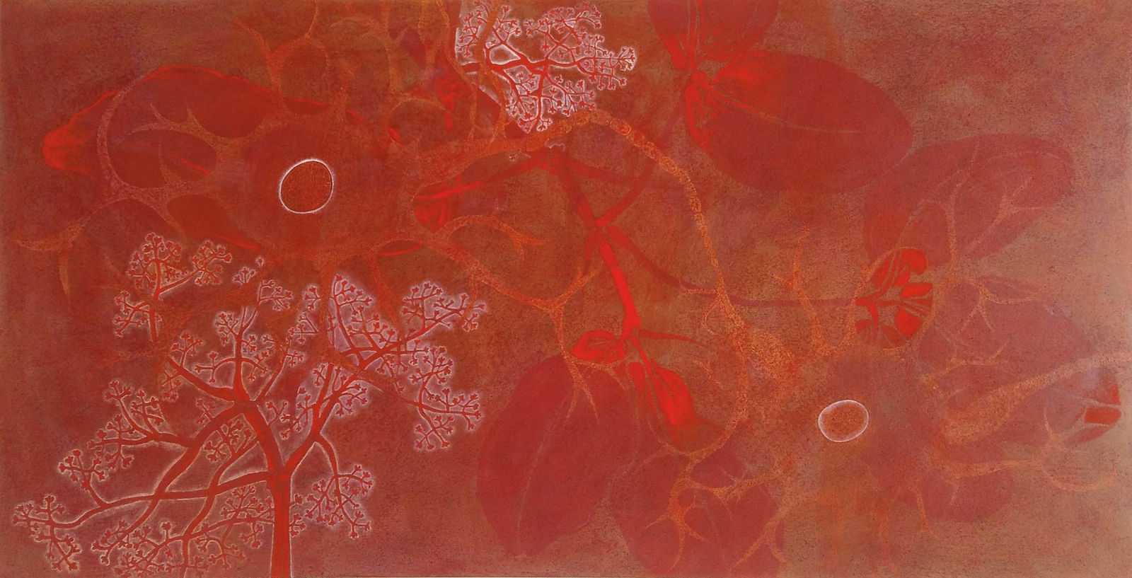 Liliane Dardot, Sem título