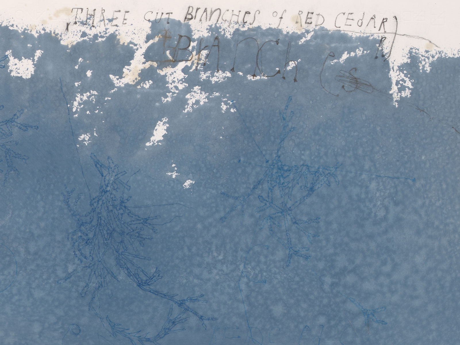 Ricardo Brey, Three Branches of Red Cedar, 2021