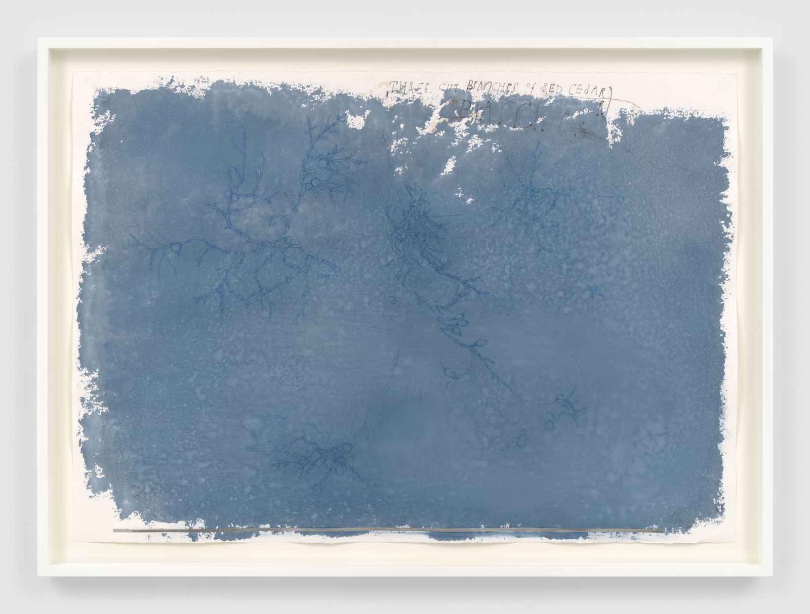 Ricardo Brey, Three Branches of Red Cedar, 2021