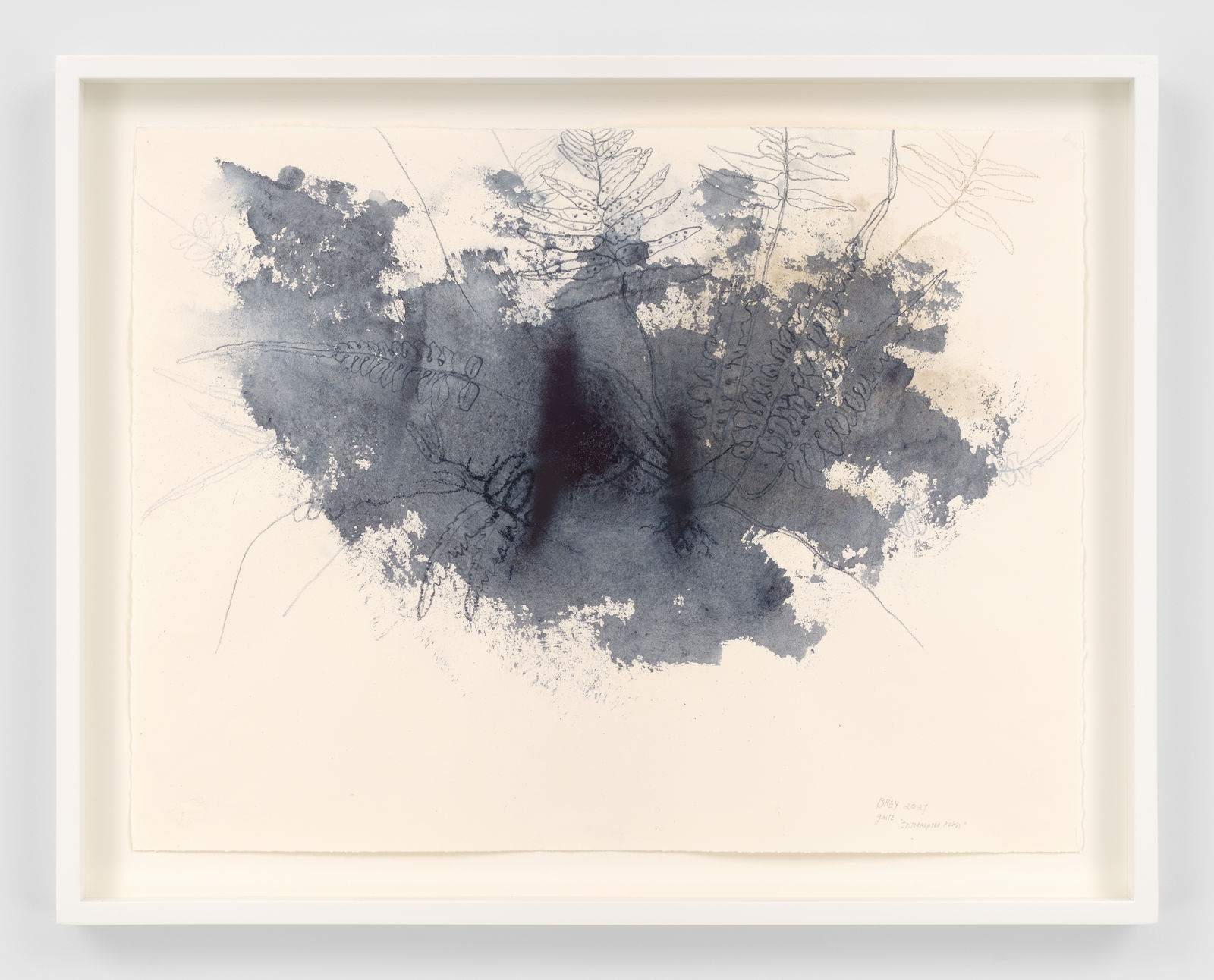 Ricardo Brey, Interrupted Fern, 2021