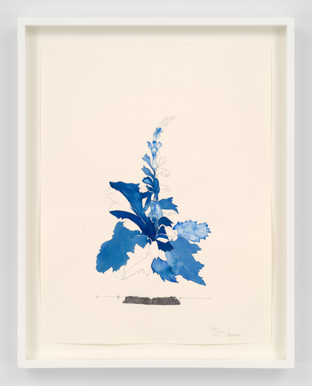 Ricardo Brey, Acanthus, 2021