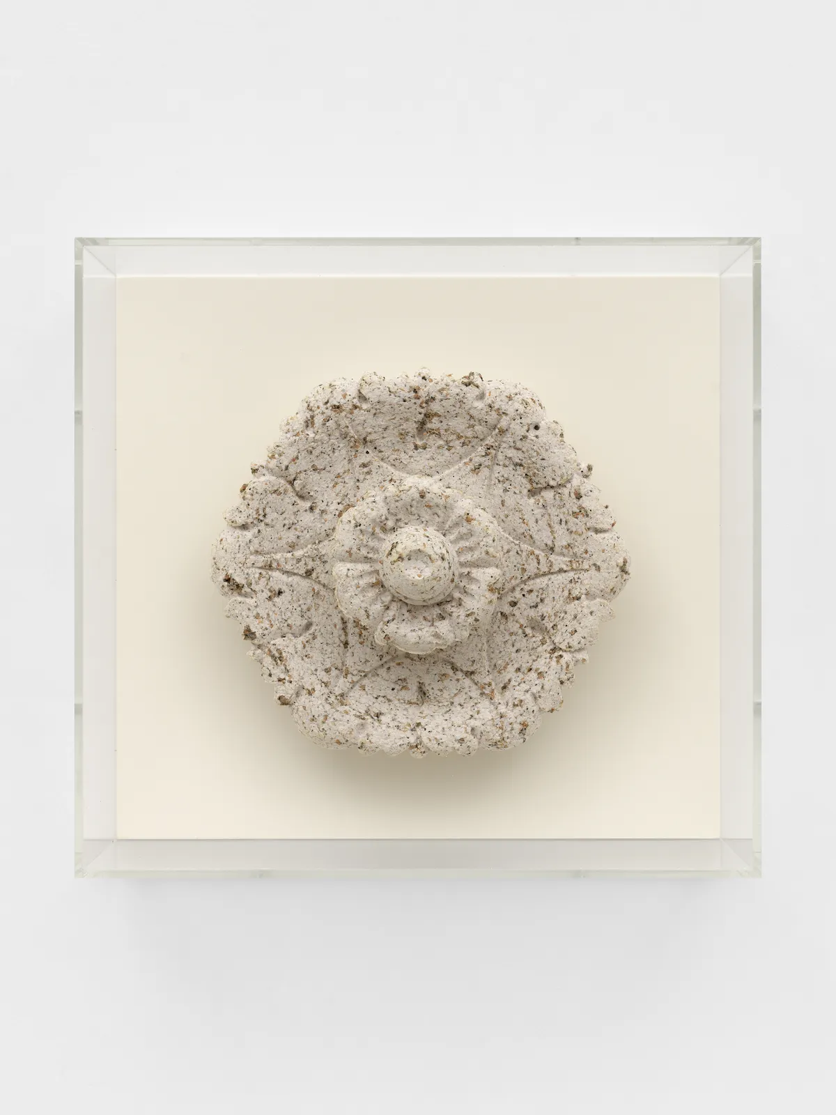 Bethany Collins, Old Ship Rose III, 2025