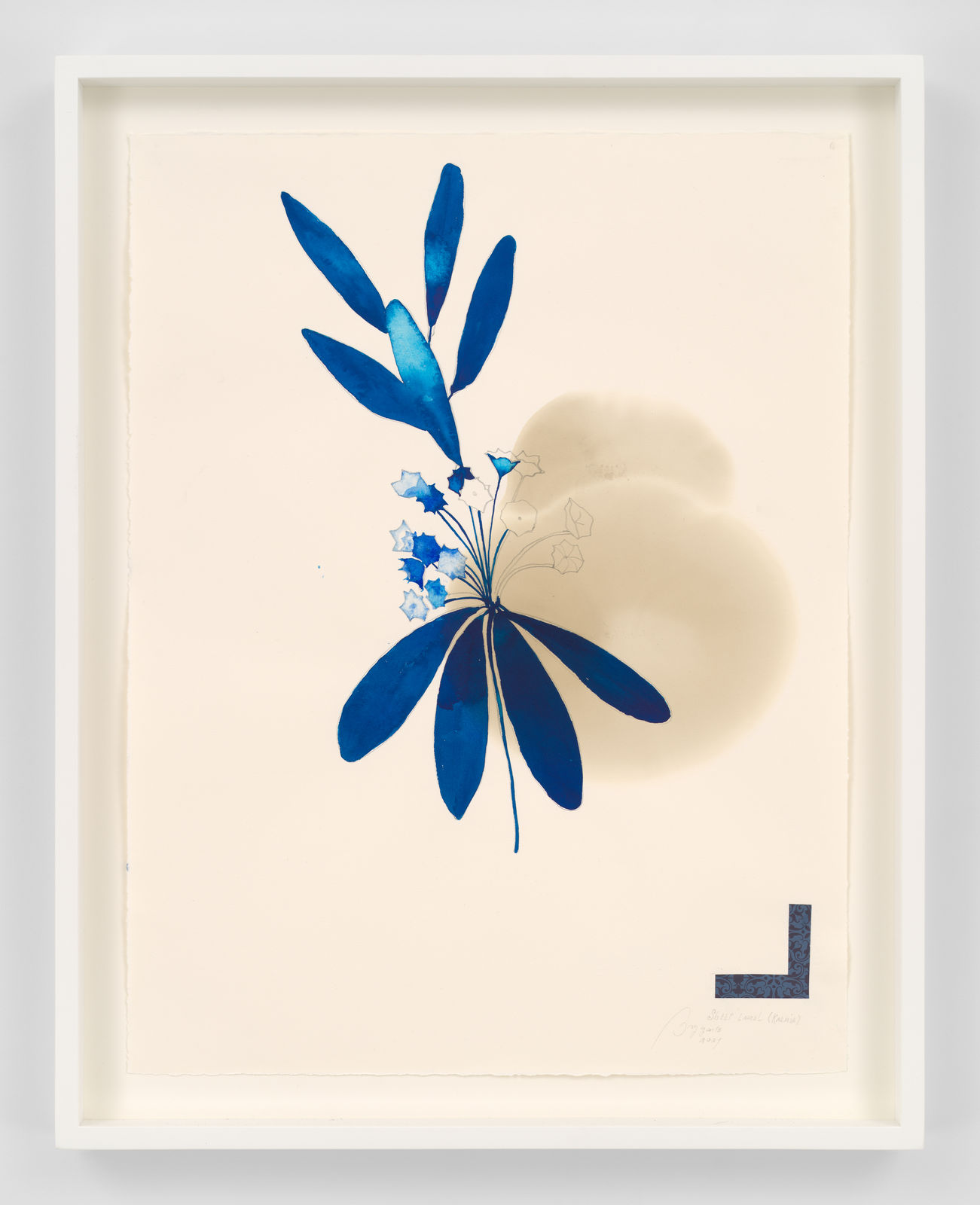 Ricardo Brey, Sheep Laurel, 2021