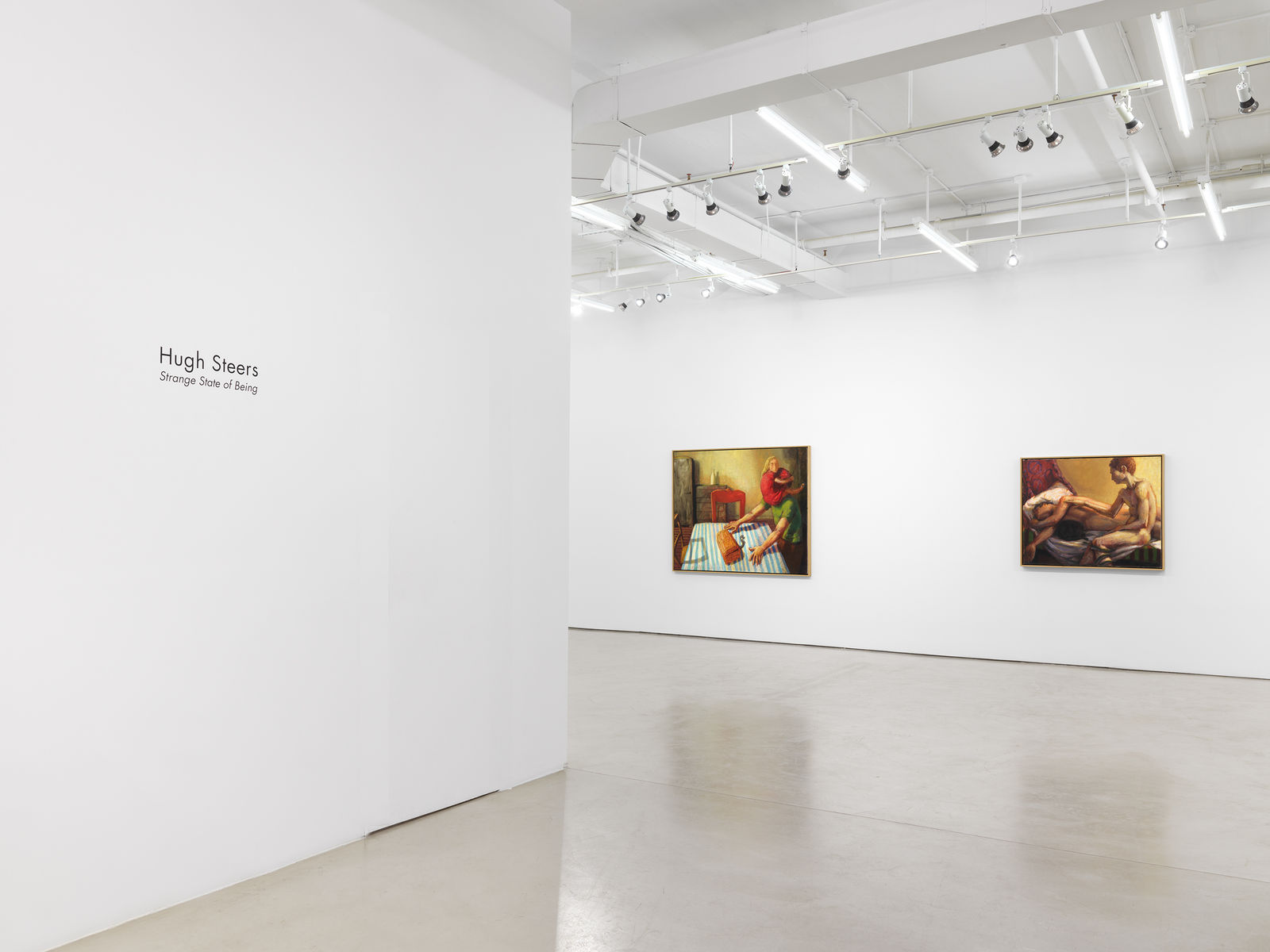 Hugh Steers, Gold Box, 1988