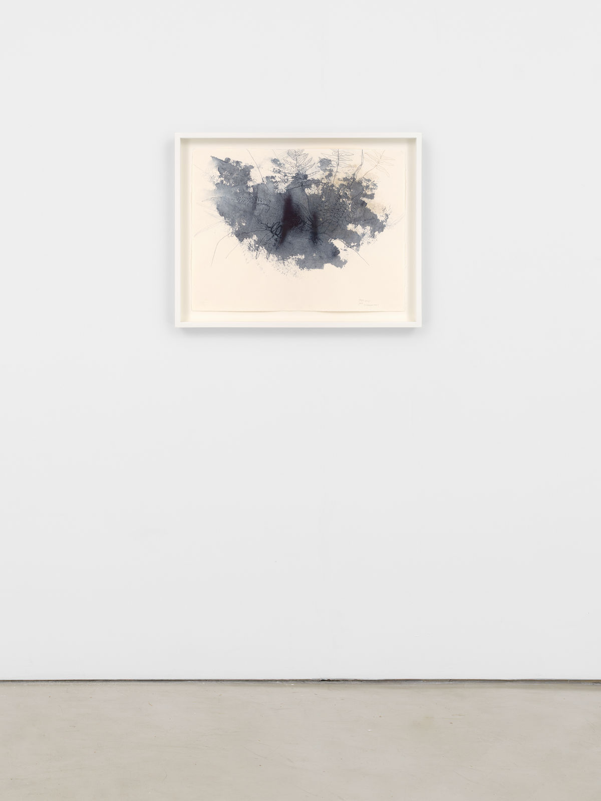 Ricardo Brey, Interrupted Fern, 2021