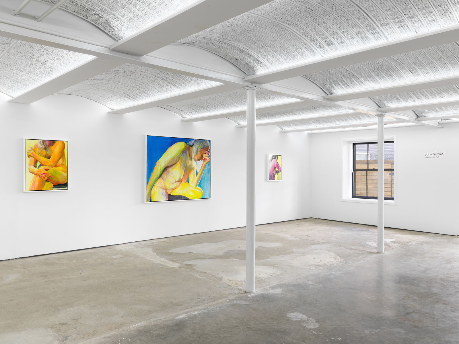 Joan Semmel, White Hair, 2020