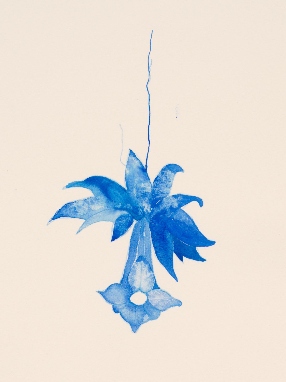 Ricardo Brey, Trumpet Roots, 2021