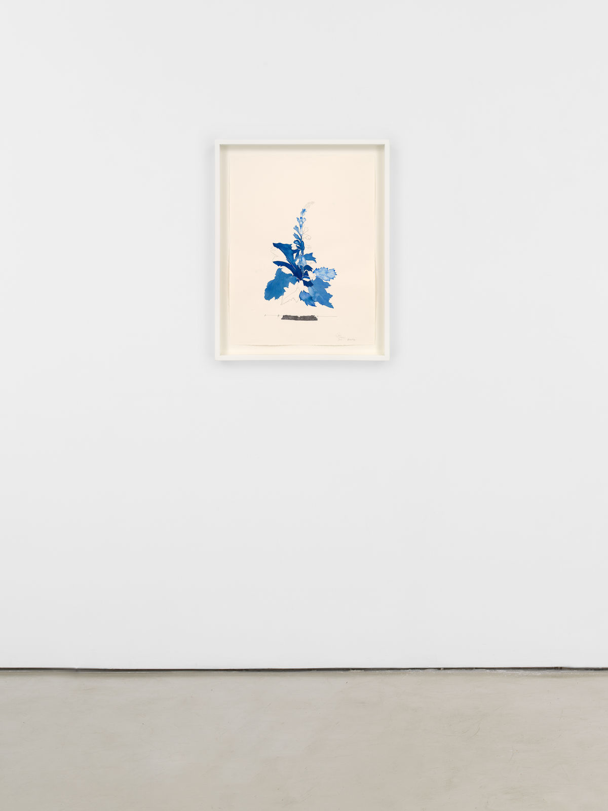 Ricardo Brey, Acanthus, 2021