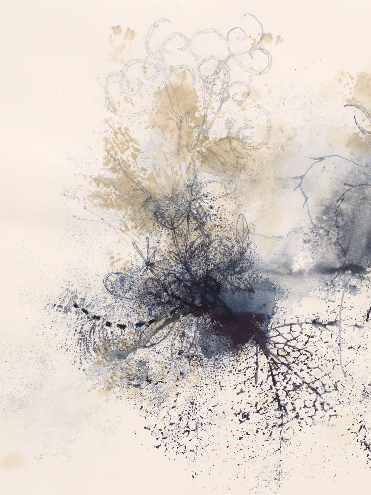 Ricardo Brey, Pasiflora, 2021