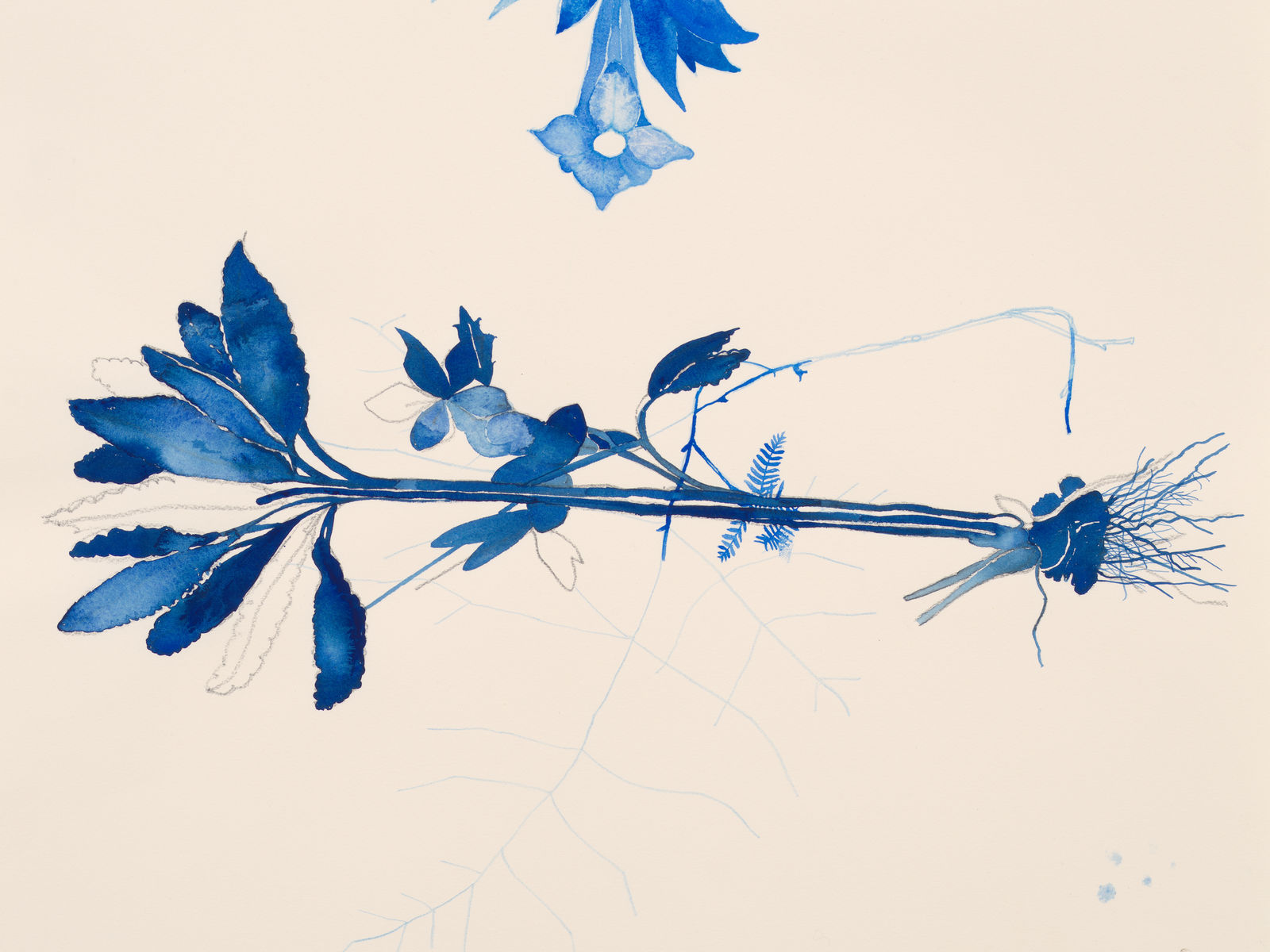 Ricardo Brey, Trumpet Roots, 2021