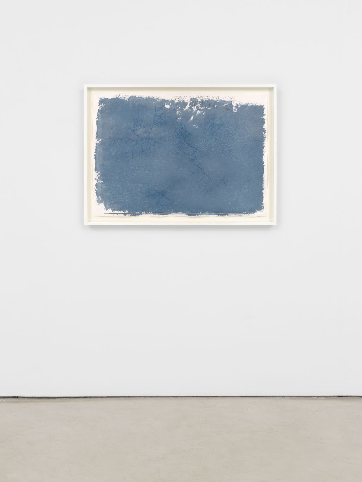 Ricardo Brey, Three Branches of Red Cedar, 2021