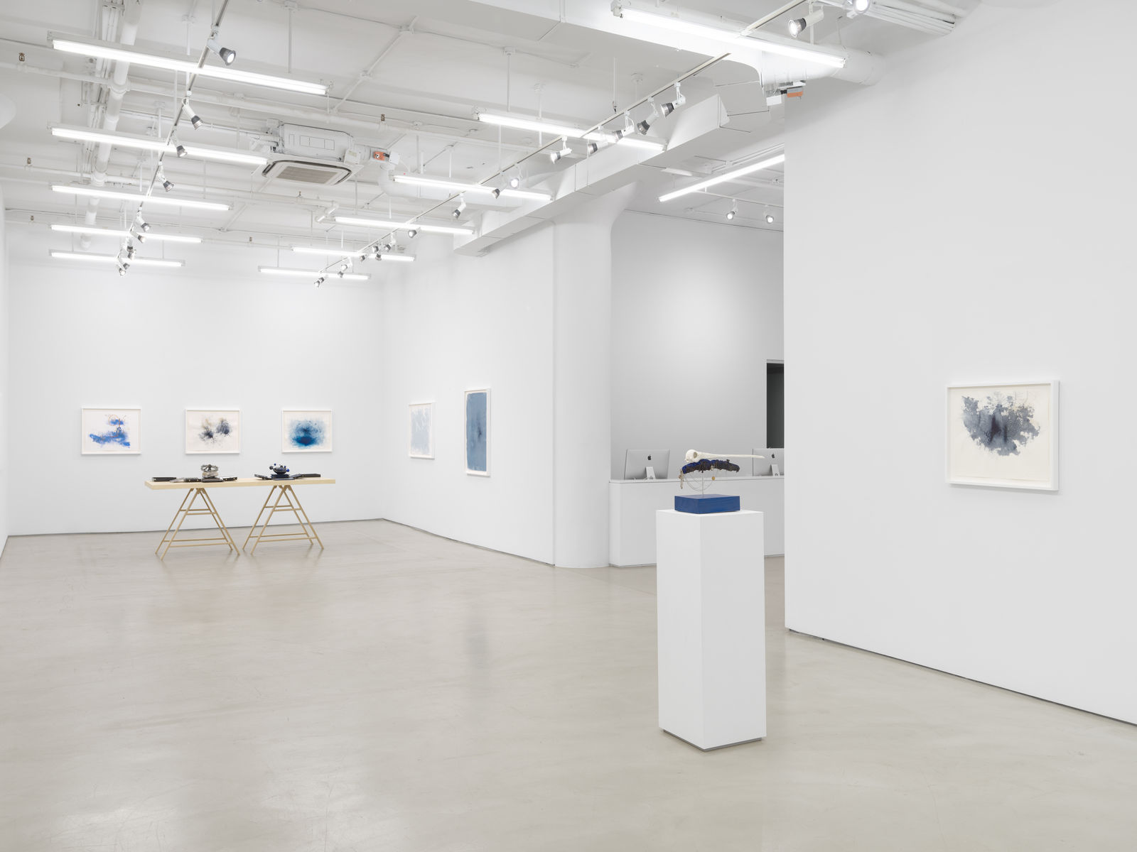 Ricardo Brey, Maidenhair, 2021