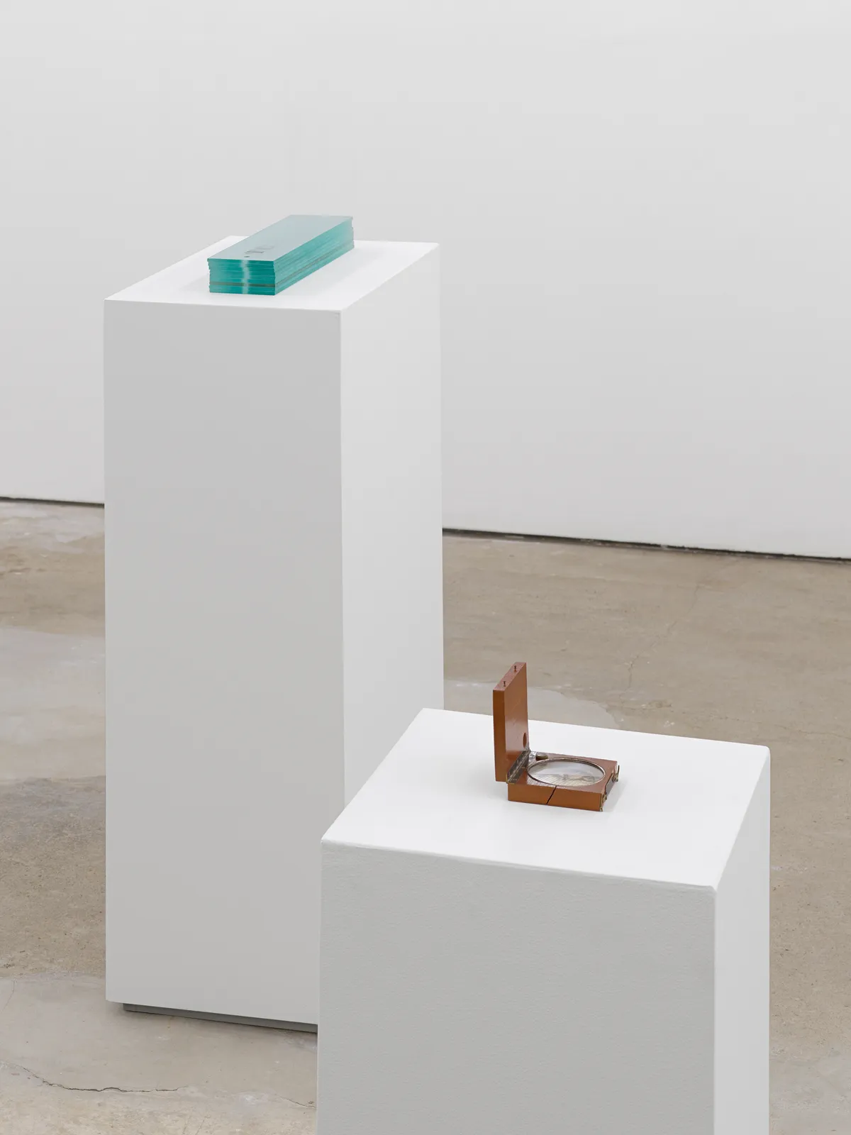 Luis Camnitzer, Compass, 2021