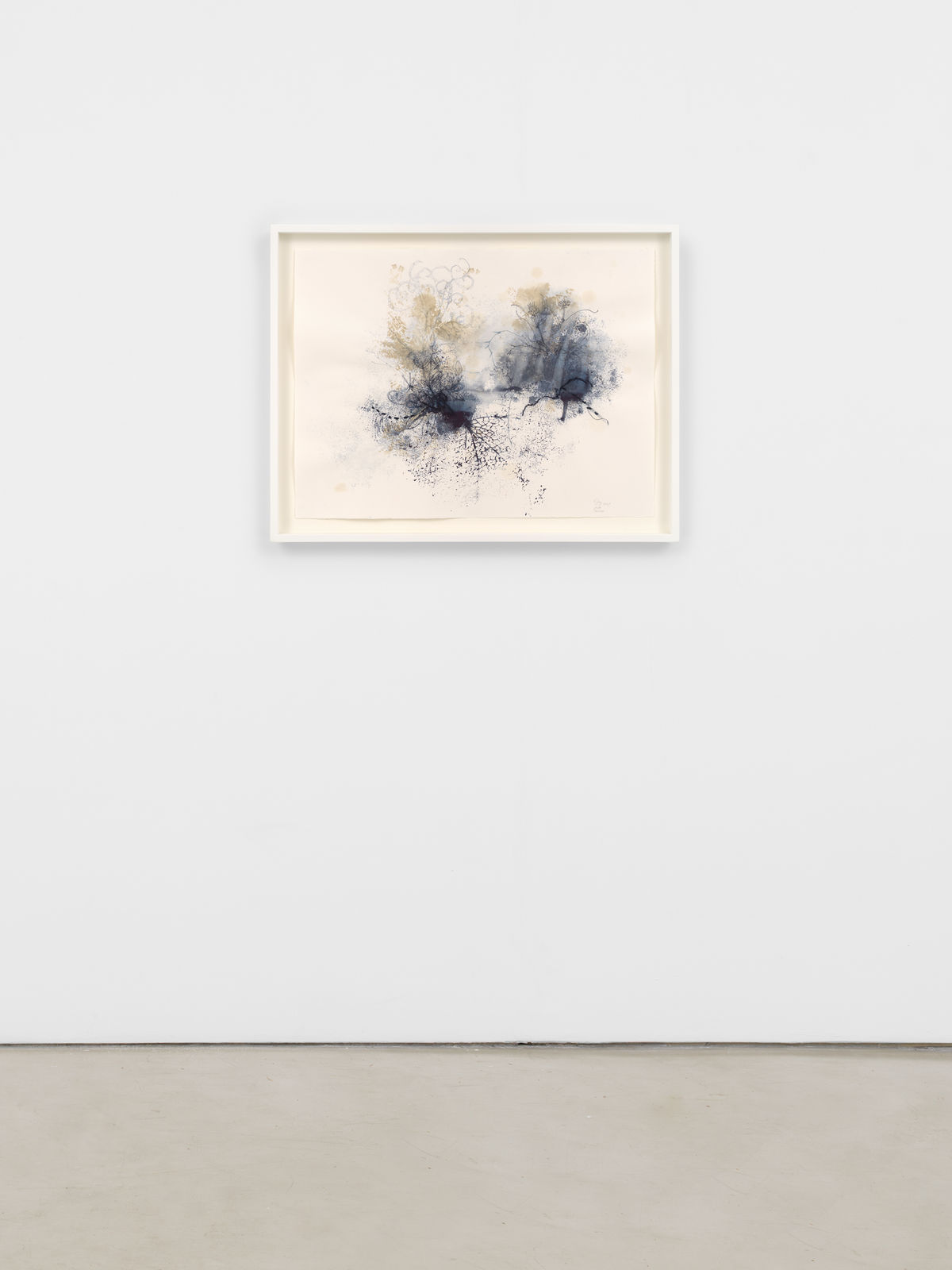 Ricardo Brey, Pasiflora, 2021