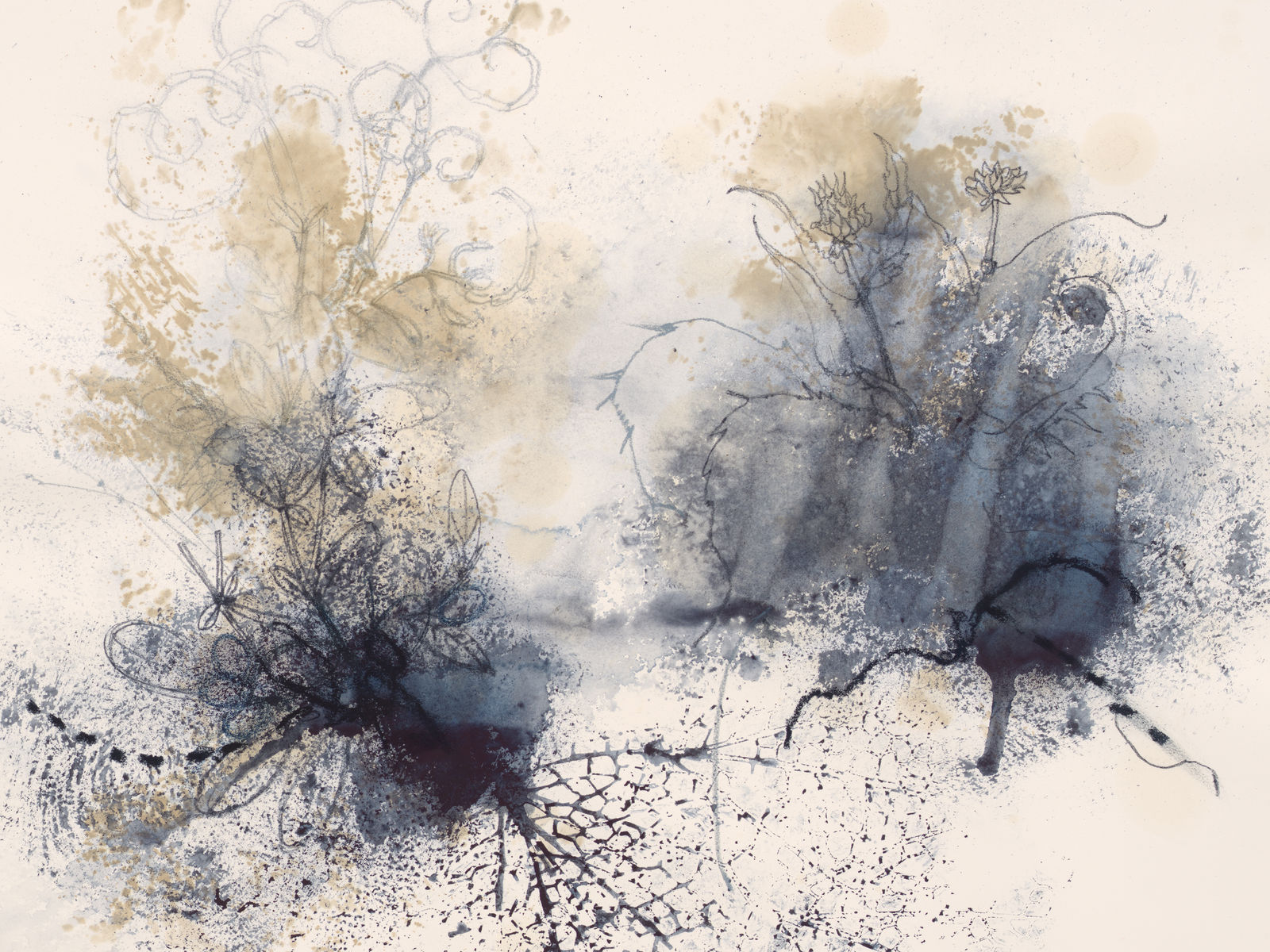 Ricardo Brey, Pasiflora, 2021