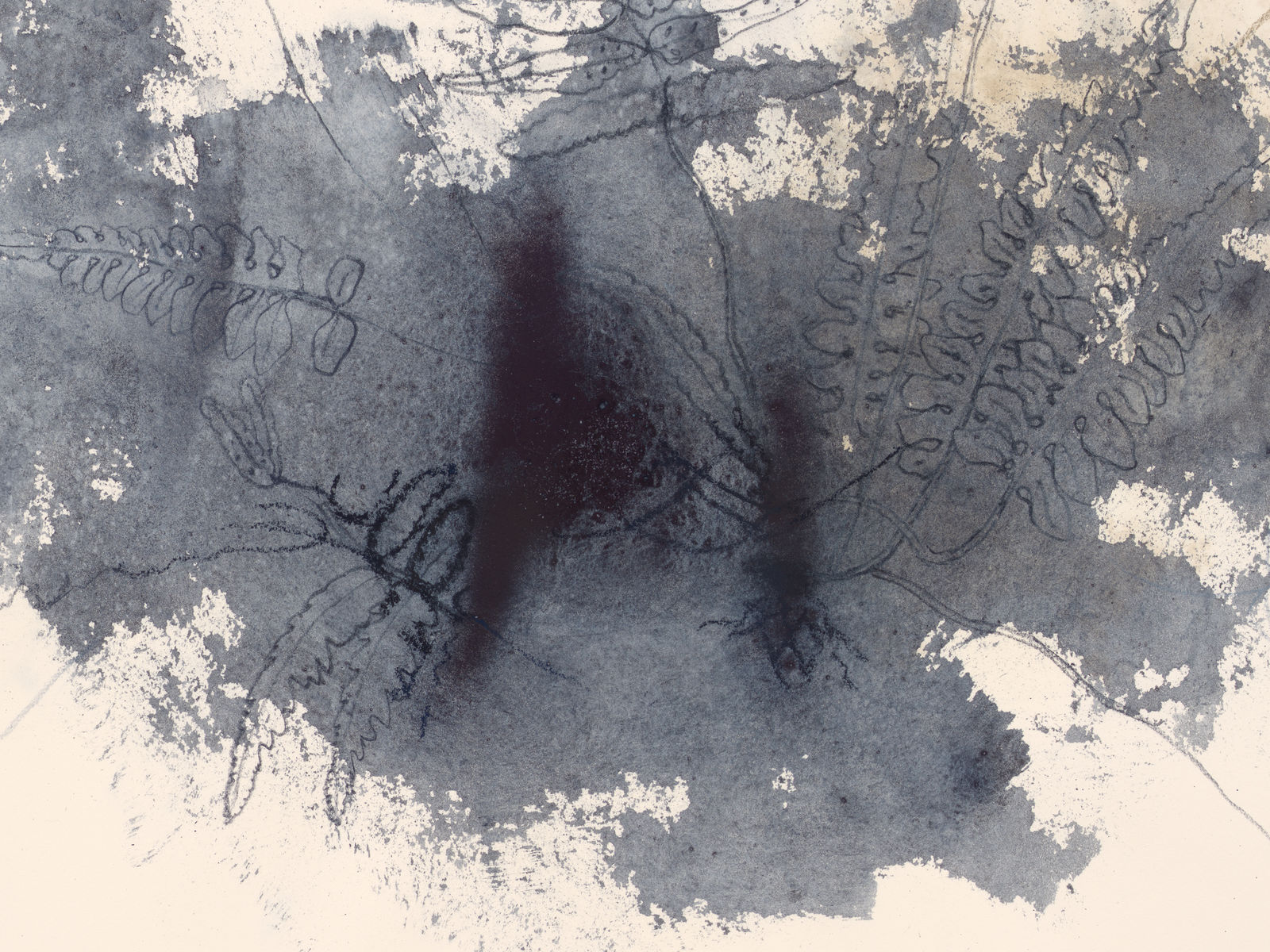 Ricardo Brey, Interrupted Fern, 2021