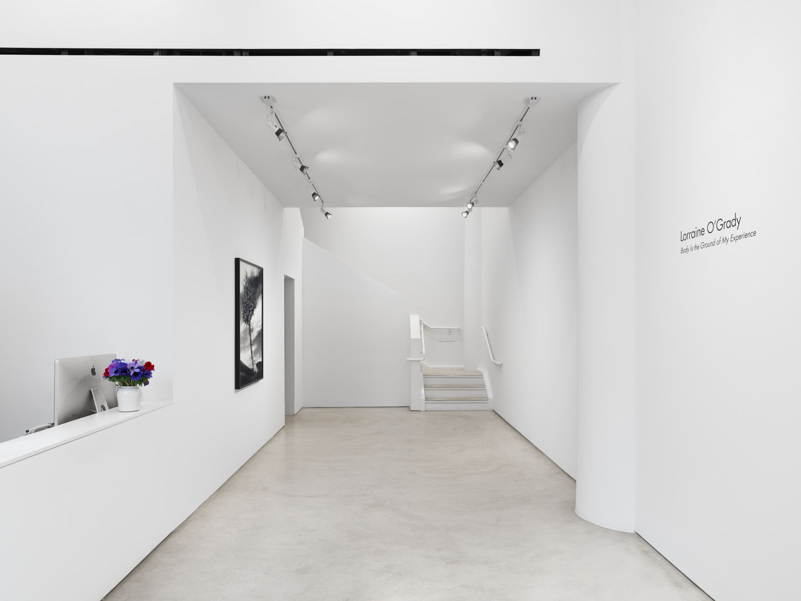 Lorraine O'Grady, The Fir-Palm, 1991/2019