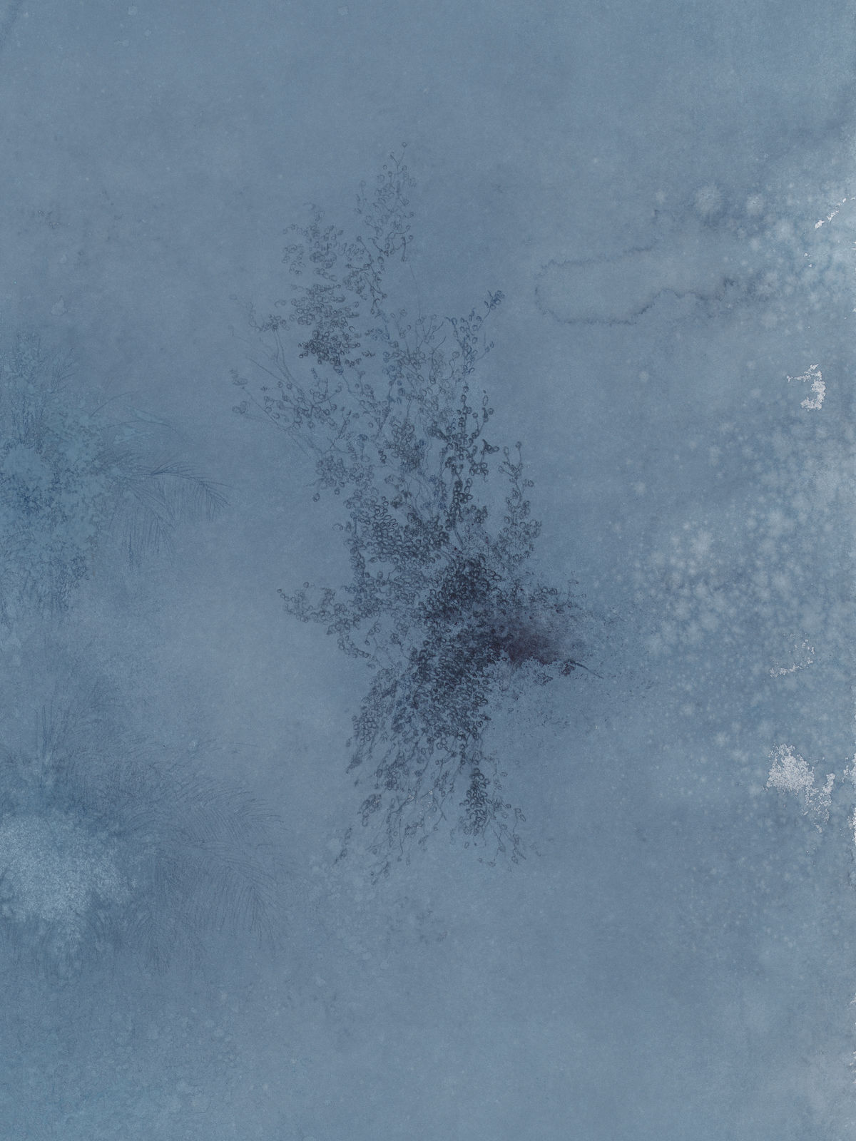 Ricardo Brey, Gaze, 2021