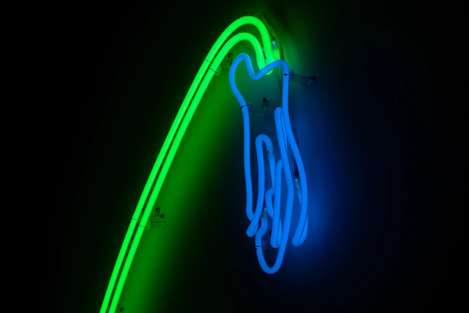 Daan Gielis, Wilting Flower (#2), 2022