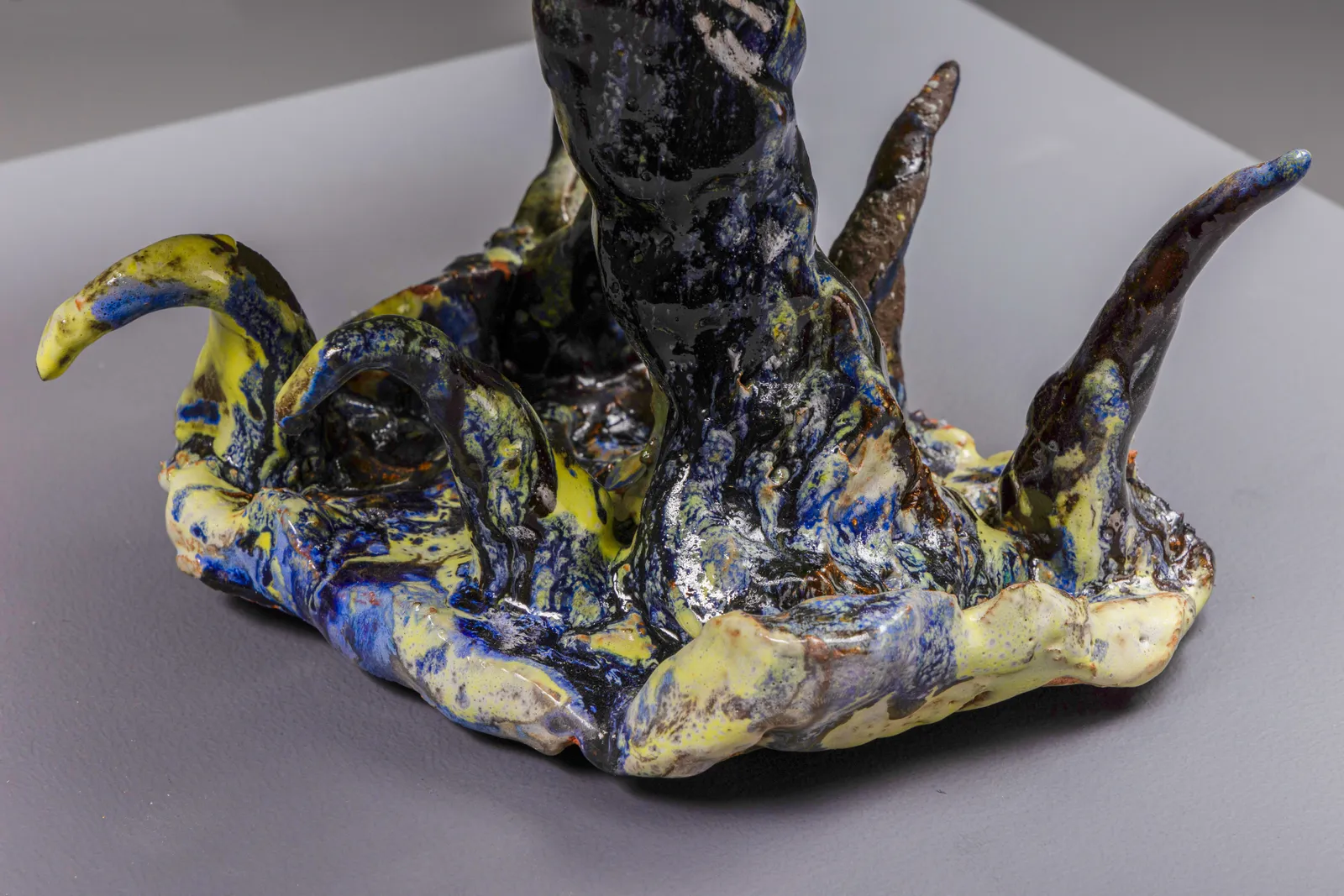 Tom Volkaert, Burd Guhls Can Fly, 2022