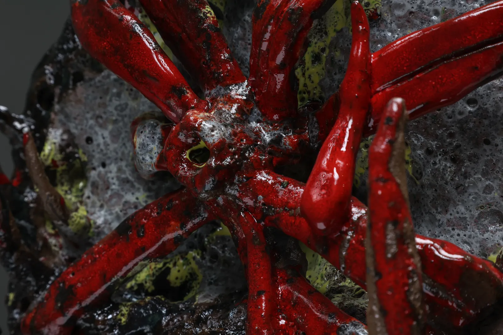 Tom Volkaert, A beautiful flower from the pfos rich lands of Antwerp, 2021