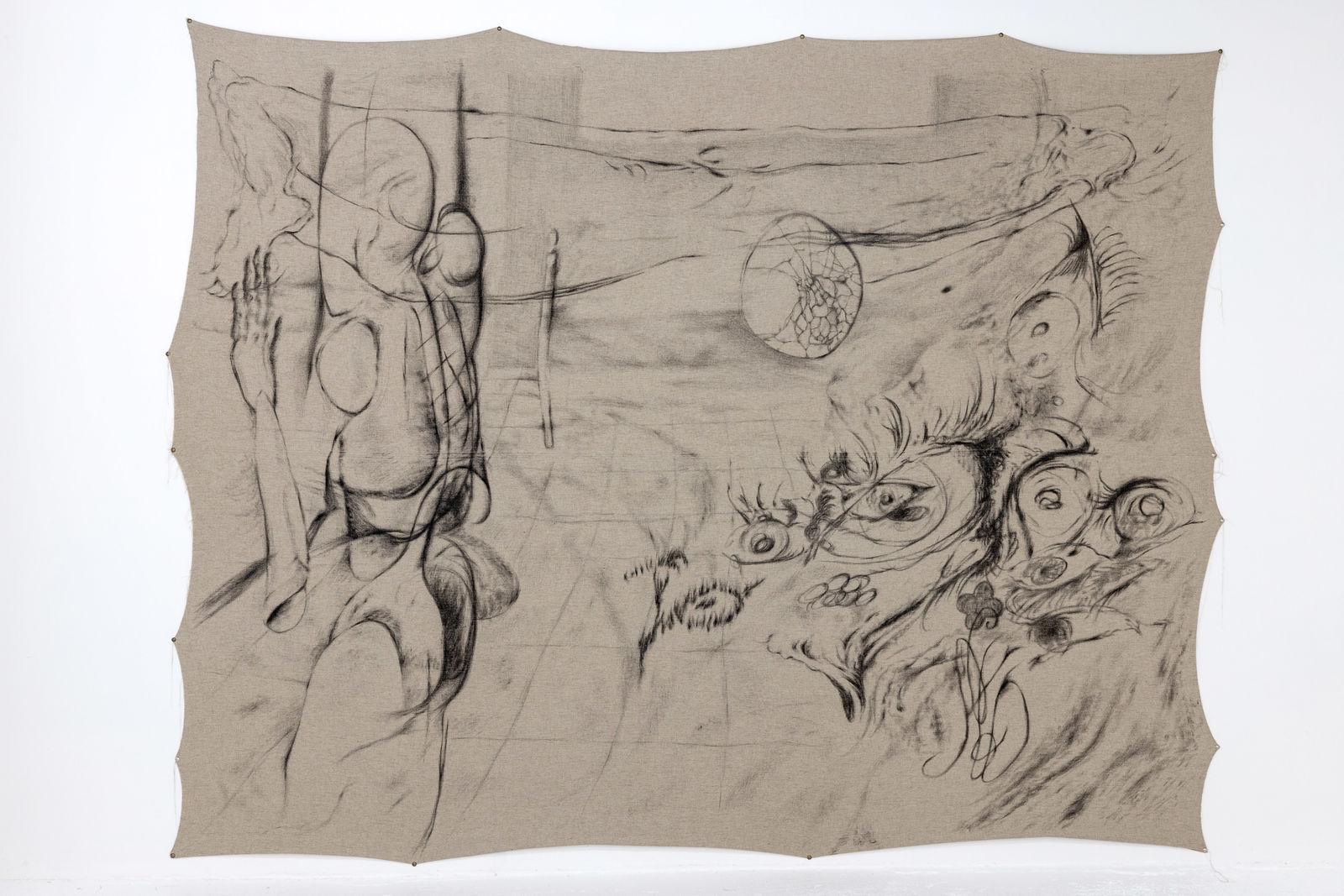 ASMA, Growing against the will of the world between a crack of time, 2023