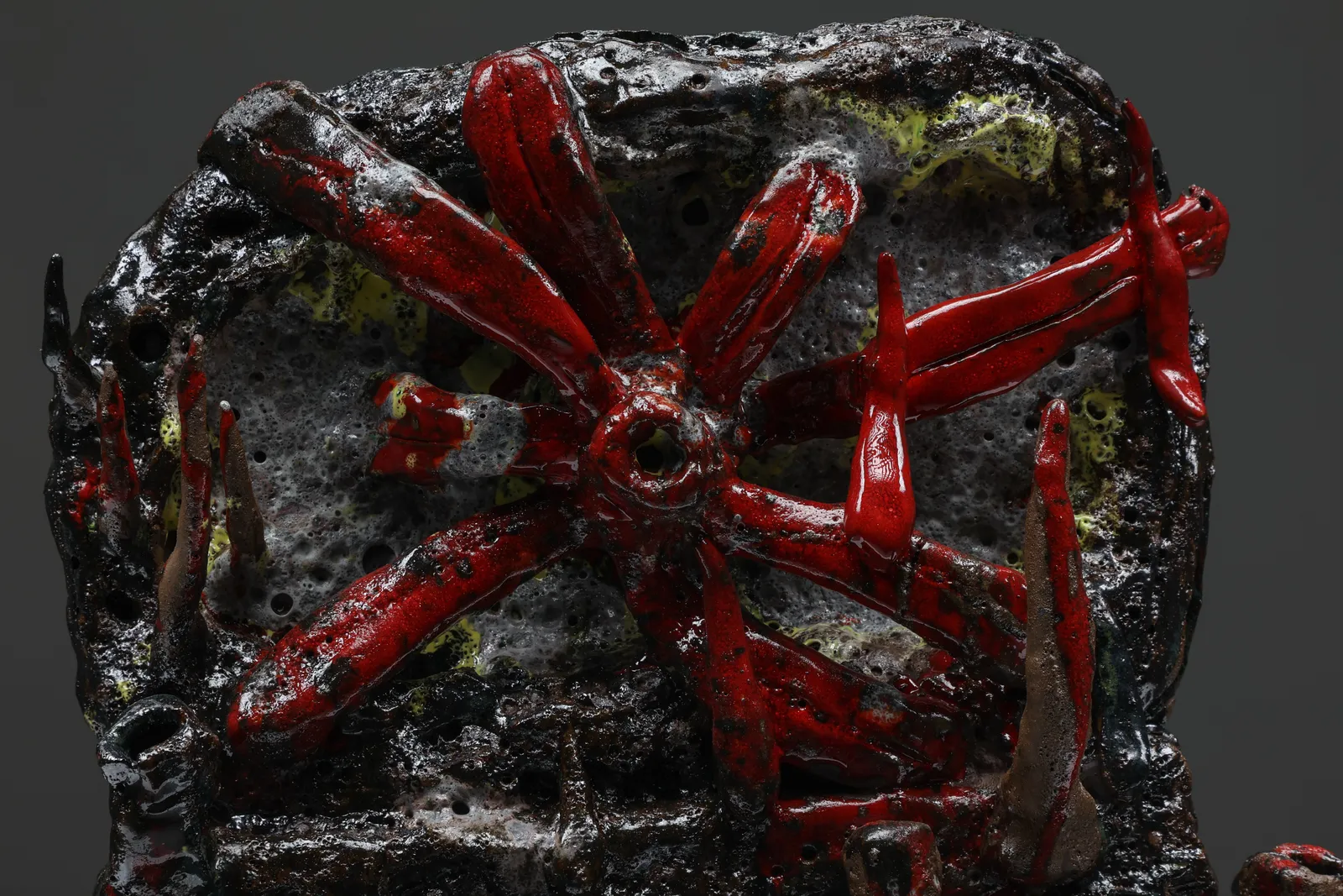 Tom Volkaert, A beautiful flower from the pfos rich lands of Antwerp, 2021