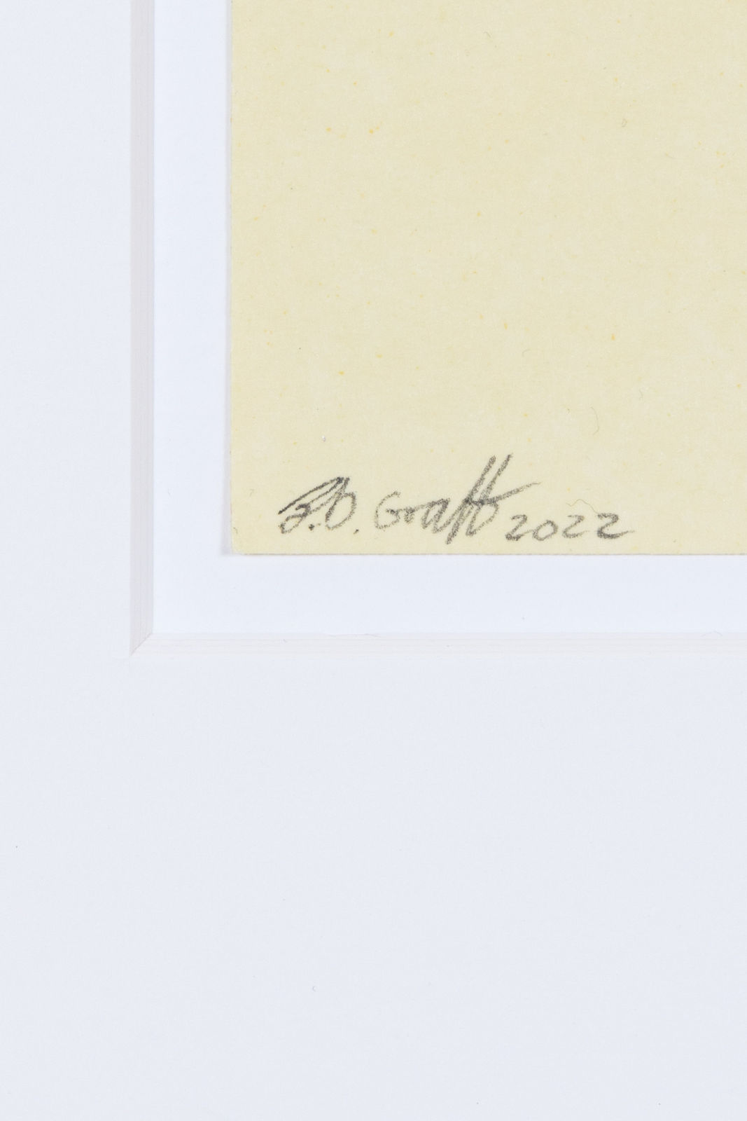 B.D. Graft, Bee 7, 2022