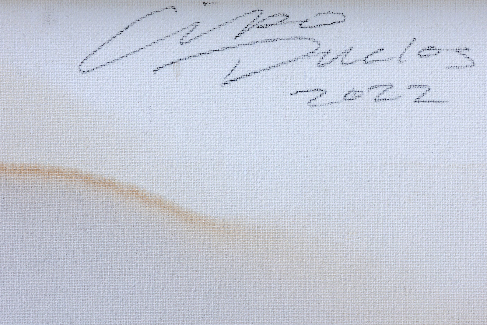 Ciro Duclos, Purple corn paintings (regular) #4, 2021