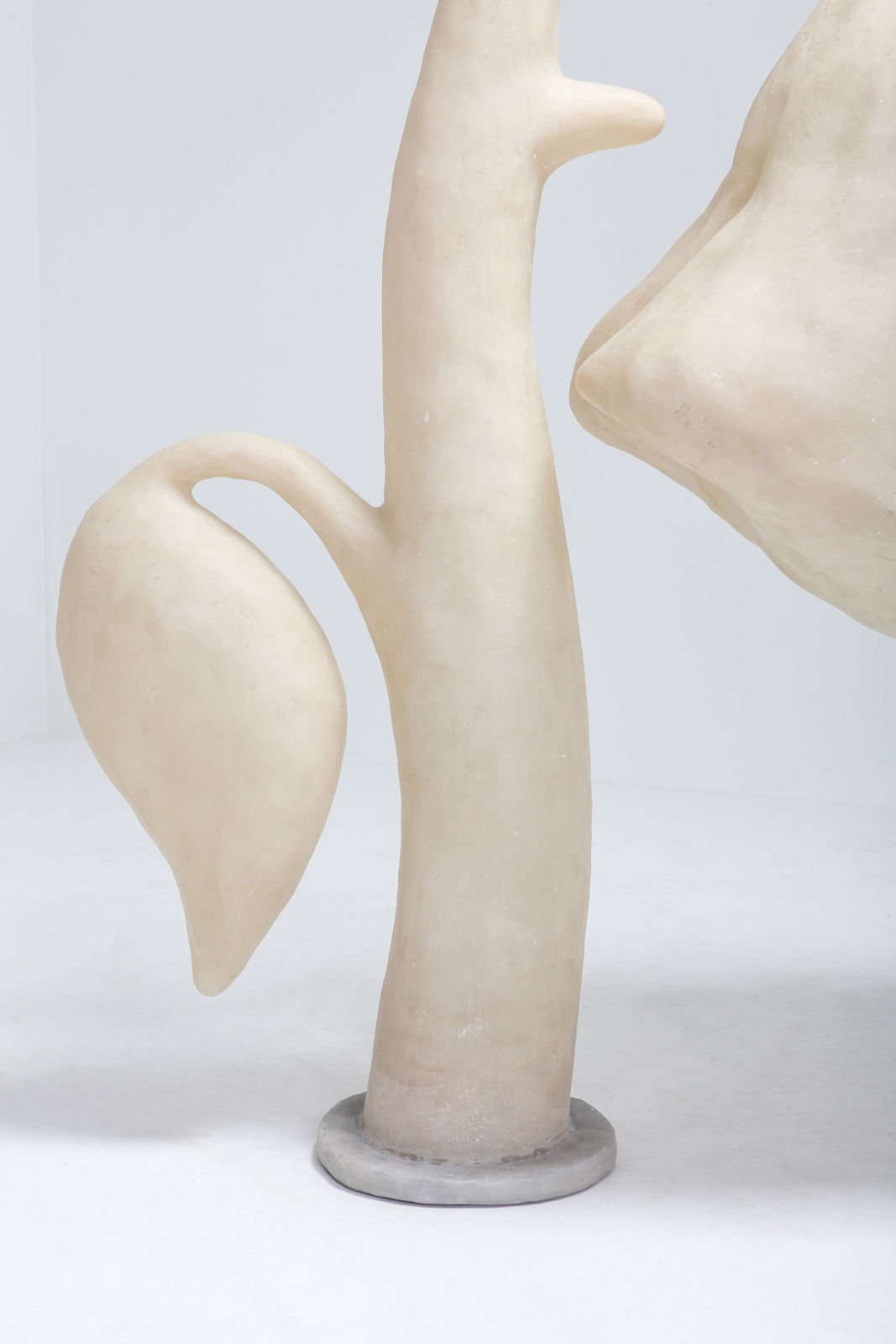 Daan Gielis, Mama, je hoeft niet te huilen, 2019