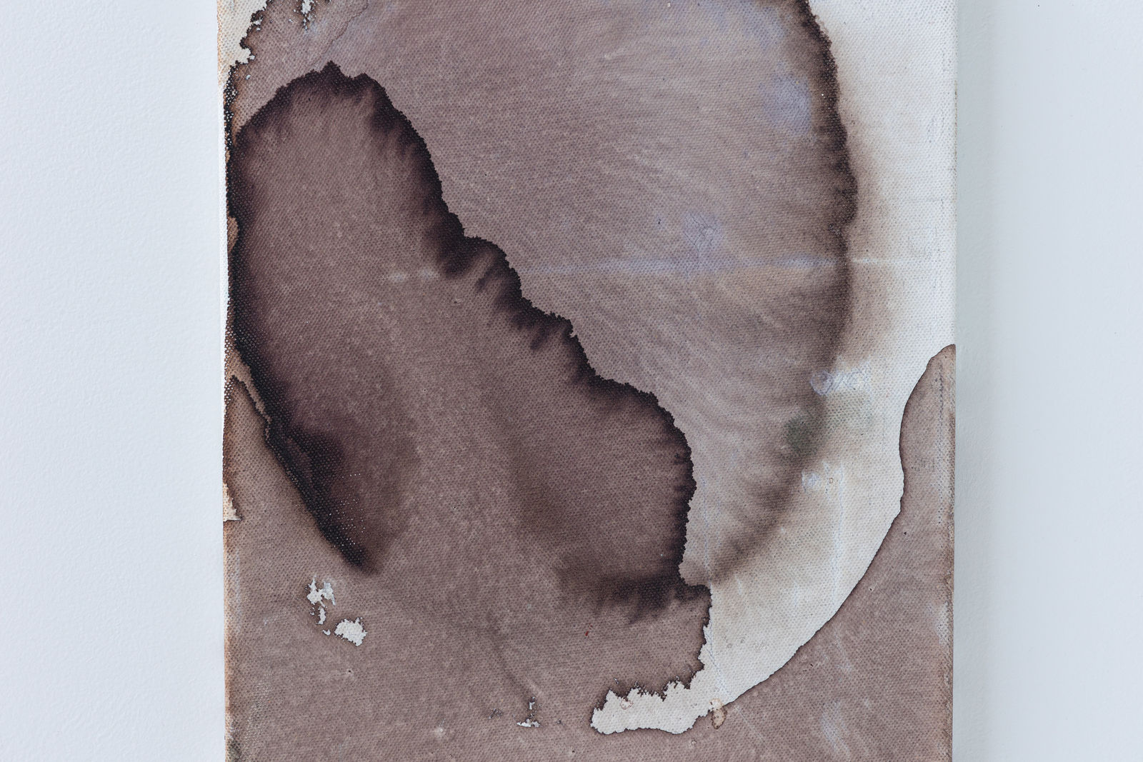 Ciro Duclos, Purple corn paintings (small) #7, 2021