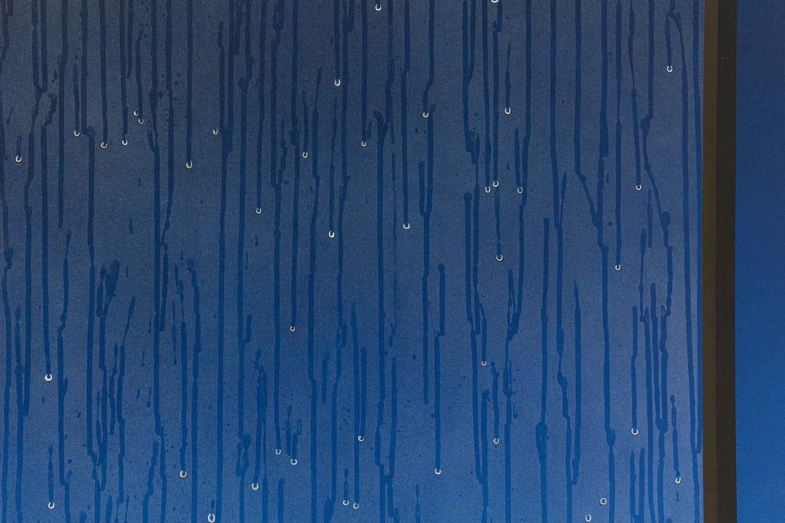 Louis Appleby, Where did all the horses go, 2022